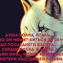 ���� Rok76i, �����-���������, 49 ��� - ��������� 24 ������� 2014 � ������ �������