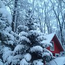 ���� 2015 �� ������� ���� ����������