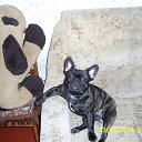 ���� ��������, ������� - ��������� 26 ����� 2015 � ������ ���� ��������