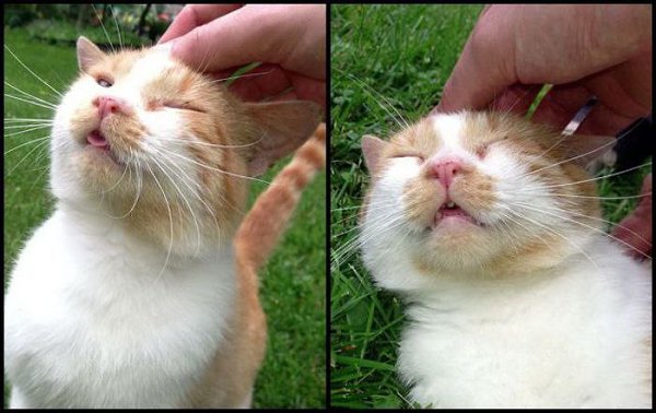 K K - 18  2015  10:06