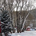 ���� ����, ����������, 57 ��� - ��������� 29 ����� 2015 � ������ ���������� ������� ���������� ��� ���������,� ���?�
