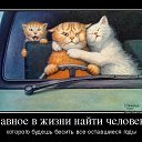 ���� ������, �����-���������, 50 ��� - ��������� 2 ������ 2015 � ������ ���� ����������