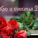 ���� �����, ��������, 61 ��� - ��������� 29 ����� 2015 � ������ �������� ��������