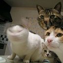 ���� ��������, �����-���������, 47 ��� - ��������� 4 ������� 2015 � ������ ������ ��������