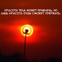 ���� �������, ������-������� - ��������� 18 ������ 2015 � ������ ������ ������
