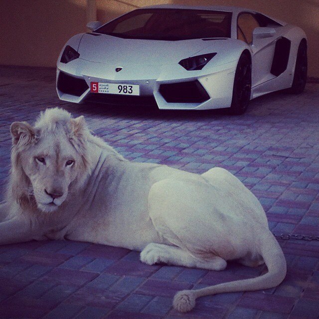 Lamborghini Aventador