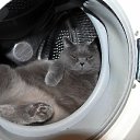 ���� ���, ����, 57 ��� - ��������� 12 ������ 2015 � ������ ���� ����������