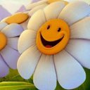 ���� ����, �������, 24 ���� - ��������� 31 ������� 2014 � ������ ���� ����������