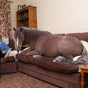 ���� �����, ������� - ��������� 22 ������� 2015 � ������ ������ ��������