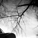 ���� ����������, ������, 48 ��� - ��������� 7 ������ 2015 � ������ ���� ����������