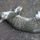 ���� ����, ���������� - ��������� 28 ������� 2015 � ������ ���� ����������
