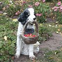 ���� ����, ����, 69 ��� - ��������� 5 ������� 2015