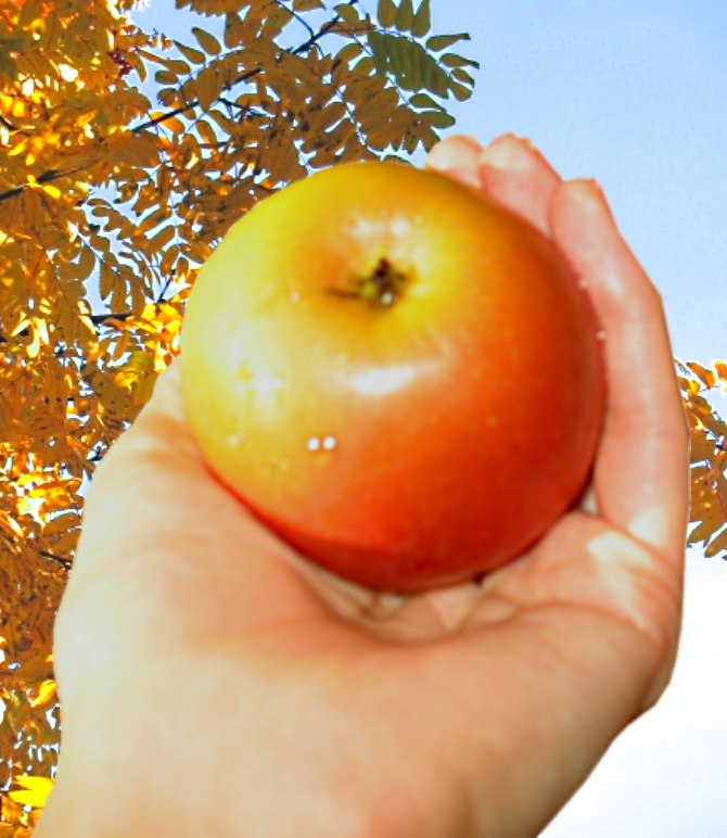 Предложение :)