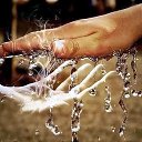 ���� ���������, �����-��������� - ��������� 25 ������ 2015 � ������ ������ ��������