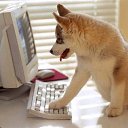 ���� Vera, ���� - ��������� 20 ������ 2015 � ������ ���� ����������