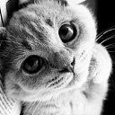 ���� ������, �������, 35 ��� - ��������� 17 ������� 2014 � ������ ���� ����������