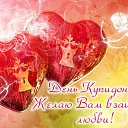 ���� ����, ����� - ��������� 23 ����� 2015 � ������ �������� ��������