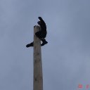 ���� ����, �����, 64 ���� - ��������� 23 ������� 2015 � ������ ���� ����������