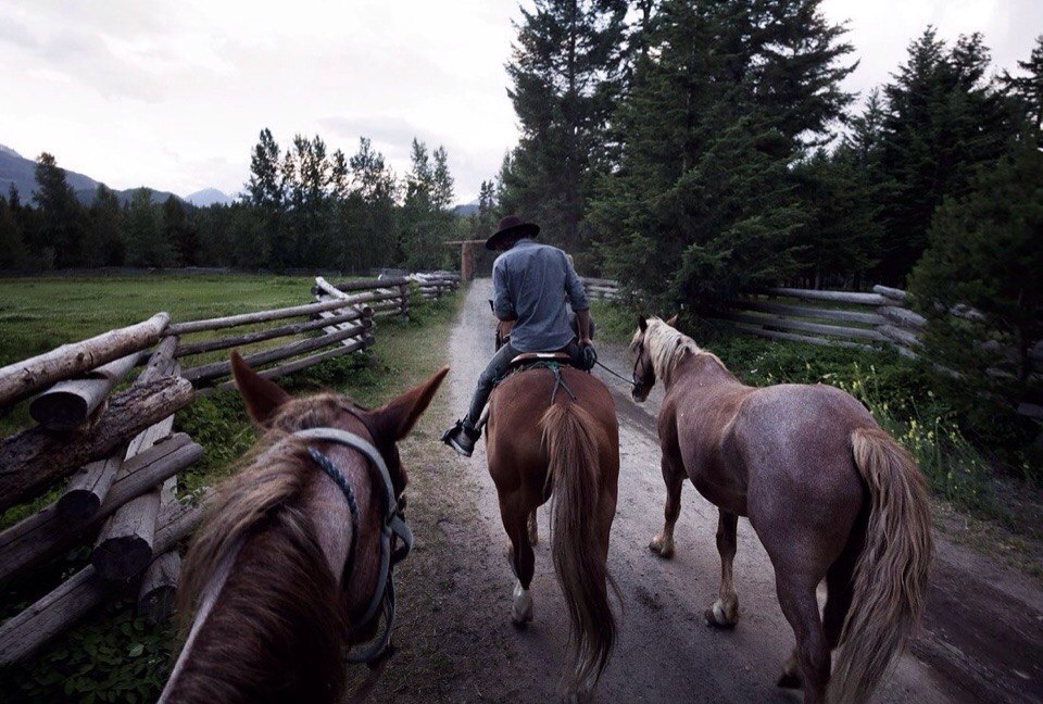 Артек Конная ферма. Horseback riding in the neighborhood of the Cottage. Go riding.