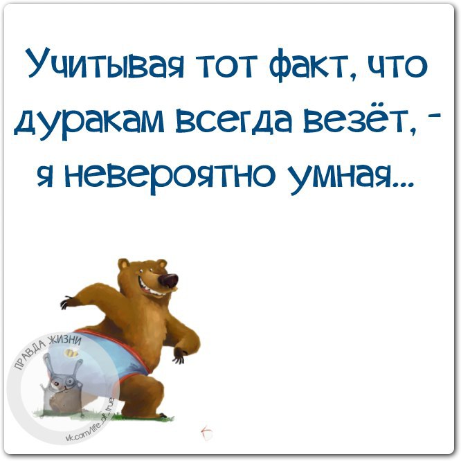 Невероятно умный не просохшая. Дуракам везет. Дуракам везет цитаты. Дуракам всегда везет. Дуракам везет пословица.