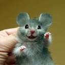 ���� ���������, �������, 61 ��� - ��������� 27 ������� 2015 � ������ ���� ����������