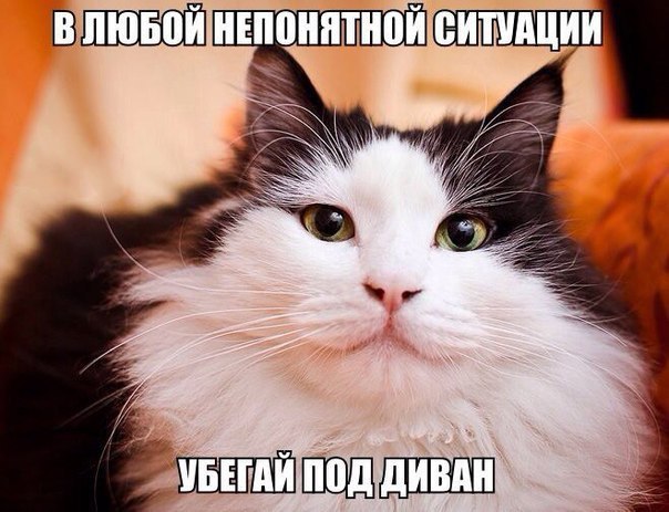  -  - 24  2014  00:36