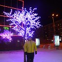 ���� ������, ����� - ��������� 26 ������ 2015 � ������ ���� ����������