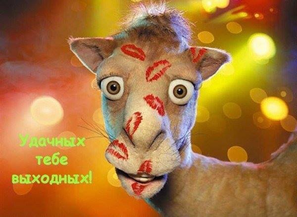 Хорошего дня !!! Прекрасного настроения !!! - 2