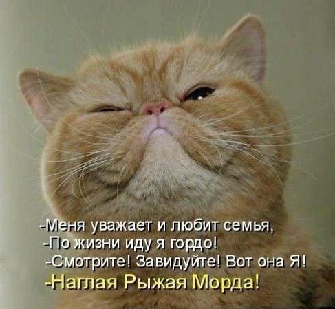 ��������������, ����������� ������. <a href=