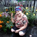 ���� �����, ��������, 66 ��� - ��������� 17 ������� 2014 � ������ ���� ����������