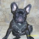 ���� ��������, ������� - ��������� 26 ����� 2015 � ������ ���� ��������