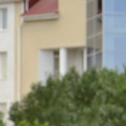 ������, �����