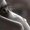 ���� ���������, ������ - ��������� 27 ������ 2015 � ������ ���� ����������