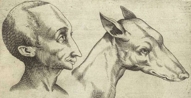 Fantastically Wrong: The Silly Theory That Almost Kept Darwin From Going on His Famous ...