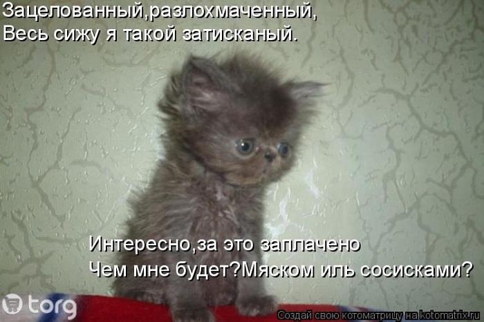       - 5  2015  13:31