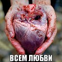 ���� Stels, ������, 66 ��� - ��������� 4 ������ 2015 � ������ ������ ��������