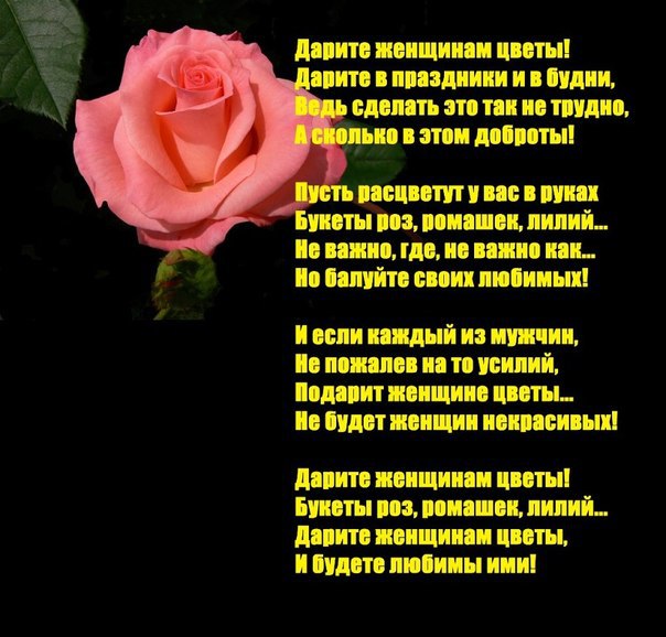 Стих дарите девушкам цветы. Дарите женщинам цветы. Дарите женщинам цветы стихи. Не Дарите женщинам цветы. Дарите женщинам цветы картинки.