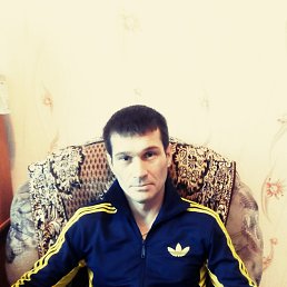 , 53, 
