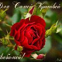 ���� ����, �������� - ��������� 27 ������� 2015 � ������ ������ ��������