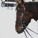 ���� ������, ����� - ��������� 22 ������ 2015 � ������ ������ ��������
