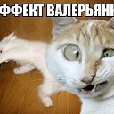 ���� ������, ����������� - ��������� 16 ����� 2015 � ������ ���� ����������