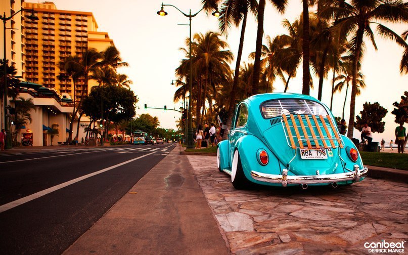 Volkswagen Beetle (Kfer). - 3