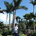  Boris, , 59  -  10  2015    