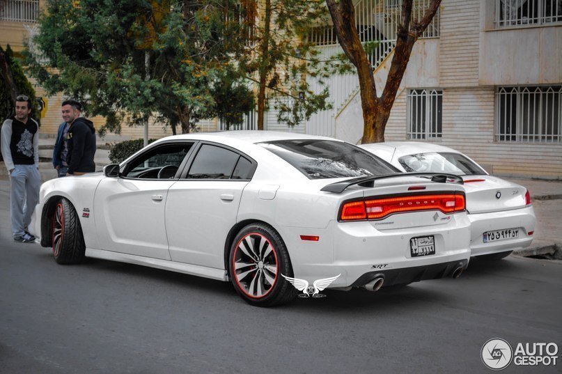 Dodge Charger SRT-8 Super Bee - 6