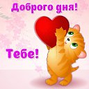 ���� �����, �����������, 72 ���� - ��������� 16 ������� 2015