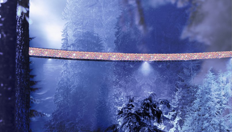     . (Capilano Suspension Bridge)    , ...