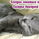 ���� �����, ������ - ��������� 20 ����� 2015 � ������ �������� ��������