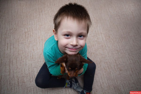 ★   ★ - 16  2015  21:37