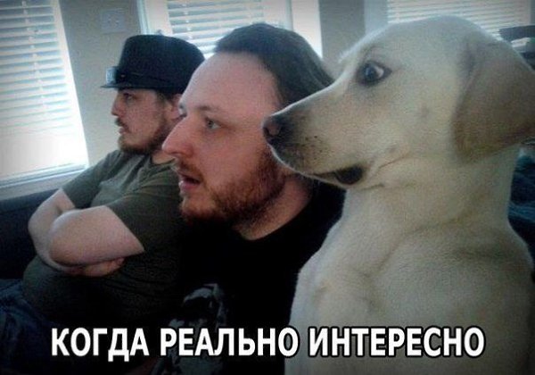 ������������ ���� - 27 ����� 2015 � 15:33