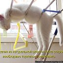 ���� �������, �������, 64 ���� - ��������� 6 ������ 2015 � ������ ������ ��������